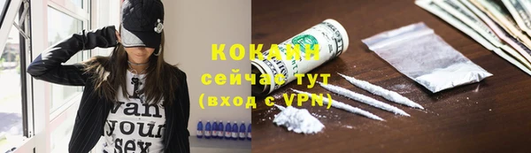 индика Баксан