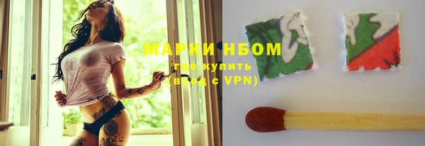 индика Баксан