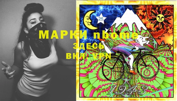 индика Баксан