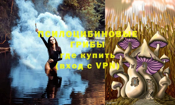 а пвп мука Балабаново