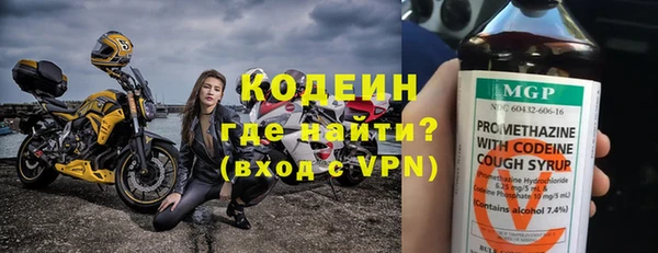 индика Баксан