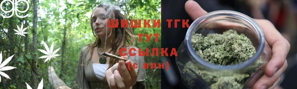 индика Баксан