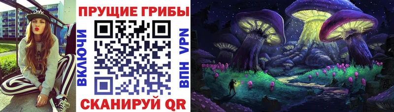 Галлюциногенные грибы прущие грибы  Нерюнгри 